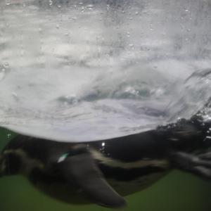 灌醉下药迷昏强奸在线播放
